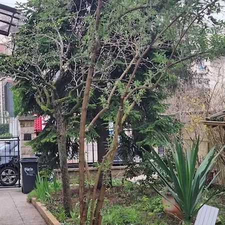 Maison Au Bord De Marne Maisons-Alfort